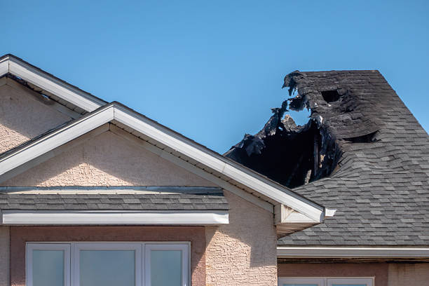 Top rated local Odor Removal specialists in Bellmawr, NJ